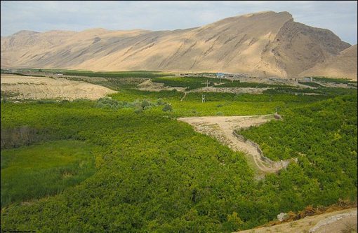 شناسایی ۱۴۳ مورد تغییر کاربری اراضی ملی در فارس