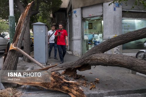 هشدار و آماده‌باش مدیریت بحران تهران برای وزش باد شدید و رگبار/ تا ۲ روز به ارتفاعات صعود نکنید