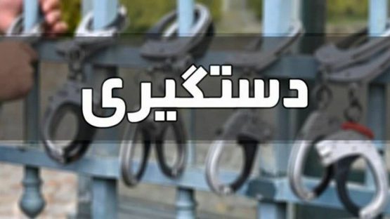 بازداشت دختر و پسری به خاطر ایجاد رعب و وحشت در پارک تهران+فیلم