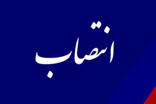 رئیس هیأت عامل صندوق ملی مسکن منصوب شد