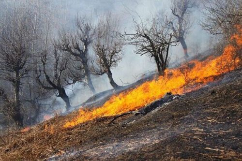 کاهش ۹۵ درصدی آتش سوزی در مراتع فارس