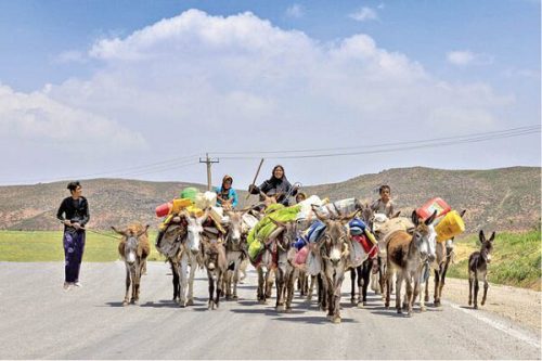 افتتاح ۲۱۰ پروژه عشایری با صرف اعتبار بیش از ۲۲۰ میلیارد تومان