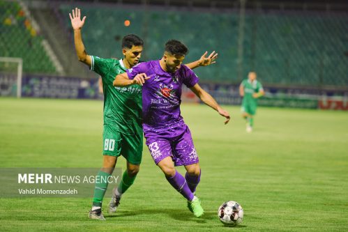 دیدار تیم‌های فوتبال ذوب آهن و هوادار