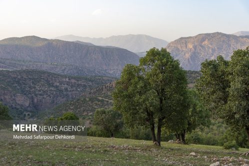 قصور برخی نهادها در تکمیل طرح پنجره واحد «مدیریت زمین»