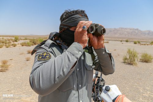 محیط‌بان نمونه کشوری در بیمارستان شاهرود بستری شد/دستگیری متخلفان