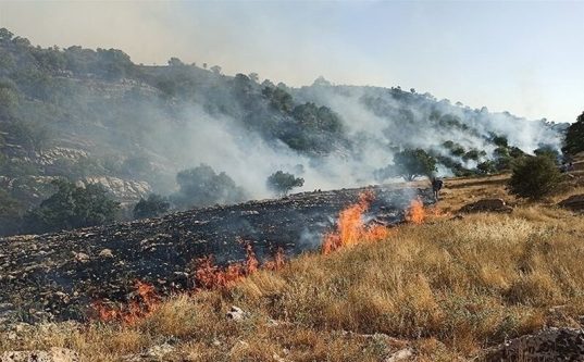 آتش‌سوزی در جنگل‌های فلات شهرستان سرچهان مهار شد