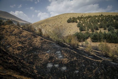 مهارآتش سوزی ارتفاعات شهرستان‌های رستم و ممسنی