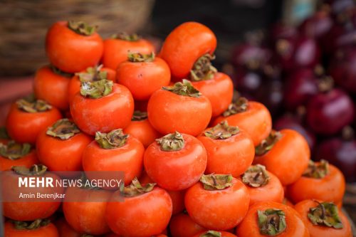 افزایش ۱۸ درصدی تولید خرمالو در بیضای فارس