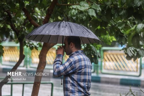 بارش اولین باران پاییزی در شیراز