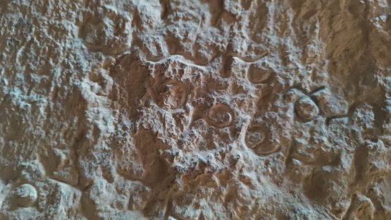 اولین سند مکتوب تاریخ آباده کشف شد