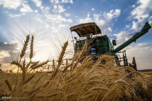 فارس ۱۰ درصد از امنیت غذایی کشور را تامین می کند