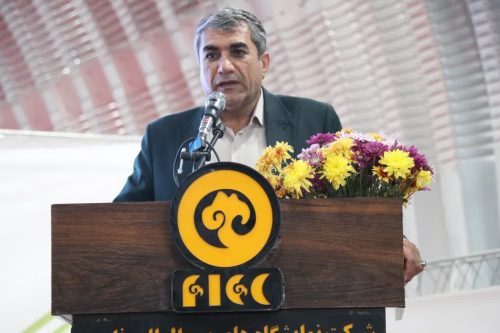 فارس رکوردار جمعیت دام سبک کشور