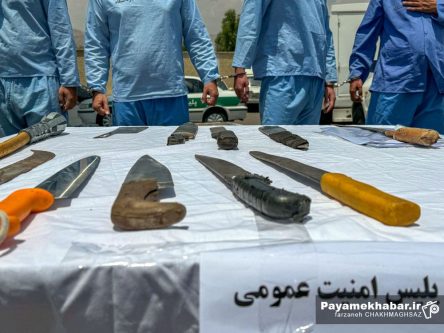 قتل ۴ نفر در شیراز با سلاح سرد؛ شلیک پلیس به پای قاتل ۳۷ ساله