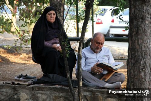 دعای عرفه در شهر شیراز کجا بریم؟
