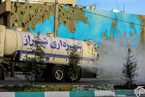 ادامه عملیات روزانه سمپاشی و تقویت فضای سبز در منطقه یک شیراز