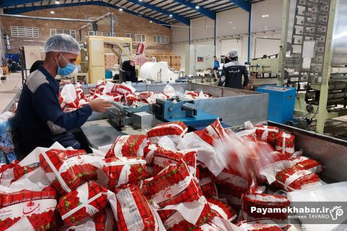 دوازدهمین جلسه کمیته پایش قراردادهای شرکت شهرک‌های صنعتی فارس برگزار شد؛ بررسی ۱۷ پرونده جدید و تعیین تکلیف ۲۳۲ قرارداد از ابتدای سال