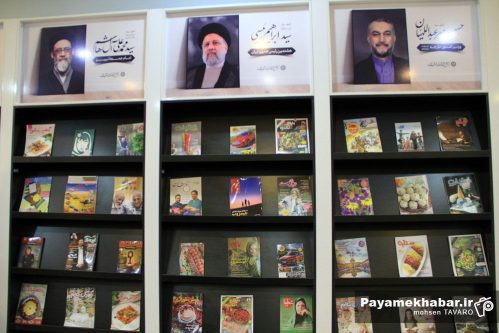 شهرداری‌ها می‌توانند در ساخت کتابخانه، اختصاص زمین، تامین فضاهای فرهنگی، تجهیزات و خدمات نقش موثری ایفا کنند
