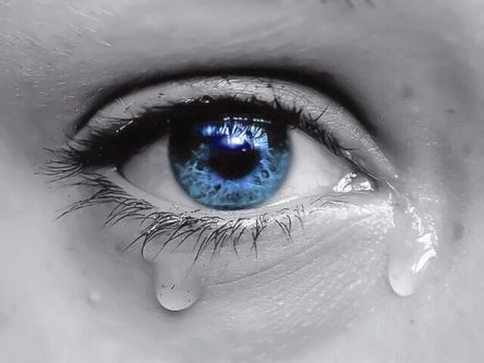 پیوندی از جنس امید، ایثار و زندگی؛ اهدای ۲۳۰ قرنیه چشم در «بهشت احمدی» شیراز