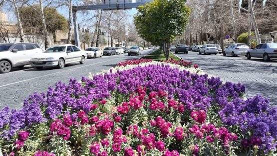 کاشت ۲۲ هزار گل گلدانی و اجرای ۱۷ هزار مترمربع نشاکاری در معابر و فضاهای سبز منطقه یک شیراز