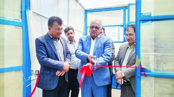 بهره برداری از گلخانه سبزی و صیفی در شهرستان استهبان ✨