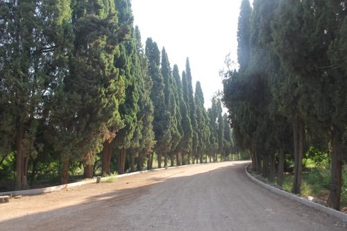 باغ سه‌گوش؛ پیوندی میان طبیعت ماندگار و فرهنگ پویا؛ از ریه‌های سبز منطقه ۴ تا کانون رویدادهای ادبی و هنری شیراز