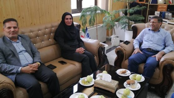 جلسه بررسی وضعیت ارتباطی شهرستان داریون برگزار شد