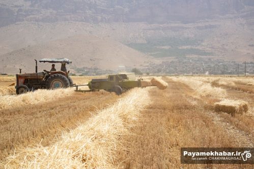 آغاز کشت محصولات شتوی در سرچهان