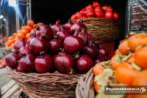 سومین جشنواره ملی انار و خرمالوی شیراز در بوستان شهید رجایی برگزار می‌شود