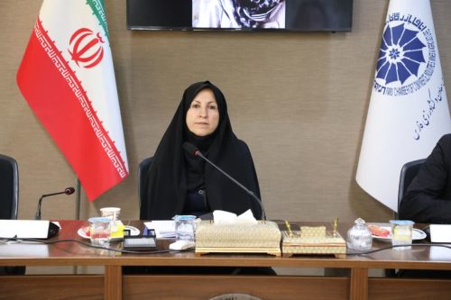 پیوند دولت و بخش خصوصی برای حمایت از زنان کارآفرین در فارس