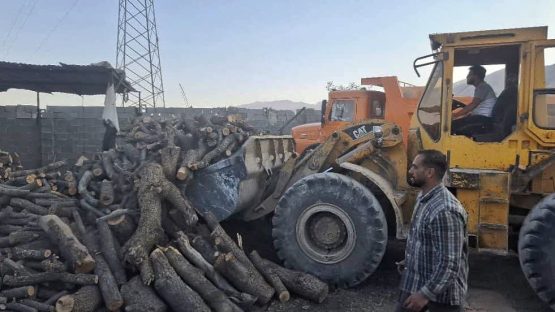 ۲۵ تن هیزم و ۱۱ تن زغال از قاچاقچیان چوب کشف شد؛ برخورد قاطع با قاچاقچیان چوب در دستور کار‌ دادستانی کازرون