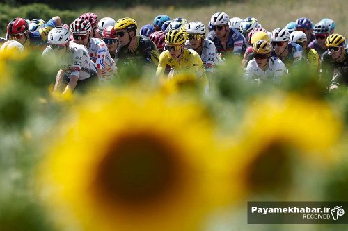 افتتاح مسیر دوچرخه‌سواری کوهستان در شیراز؛ گامی تازه برای توسعه فضاهای ورزشی و گردشگری