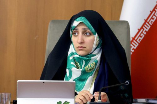 افزایش نقش‌آفرینی زنان در پارلمان‌های شهری؛ مطالبه جدی معاون رئیس‌جمهور