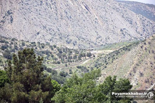 بازدید مدیرکل دفتر ارزیابی زیست‌محیطی کشور از بوستان کوهستانی و ارتفاعات کوه دراک