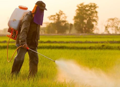 برگزاری سومین مانور نظارت بر فروشگاه‌های عرضه آفت‌کش‌های گیاهی در فارس