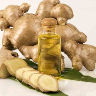 زنجبیل و سیستم ایمنی؛ اثرات دارویی و نکات ایمنی در فصل سرما