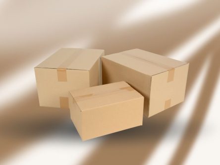 چطور یک کارتن می‌تواند درآمد کسب‌ و کار شما را بالا ببرد؟ راز بزرگ‌ترین تولیدکننده کارتن پستی