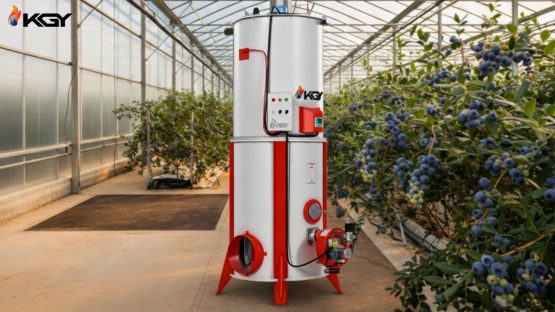 مدیریت دمای گلخانه بلوبری با بخاری مدرن برای برداشت بیشتر