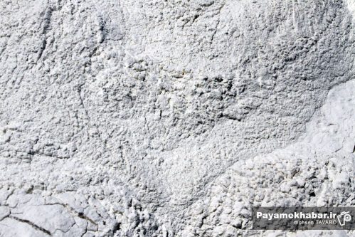 عشایر فارس چشم انتظار تامین ۱۸۰ تن کمبود آرد ماهیانه خود هستند